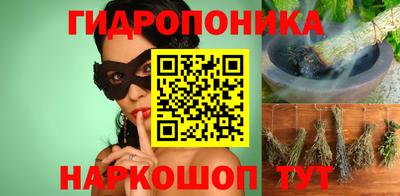 гидра Кингисепп