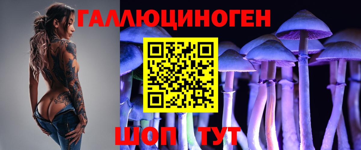 Псилоцибиновые грибы Cubensis  Галлюциногенные грибы MAGIC MUSHROOMS  Биробиджан  Вход с VPN 